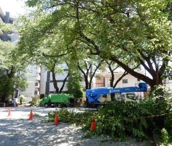 まちNews！オニのしわざか？ 天変地異ではあるまいな