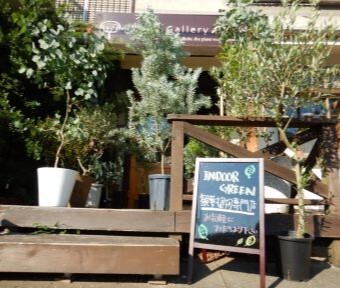 Green Gallery GRANDE 立川店