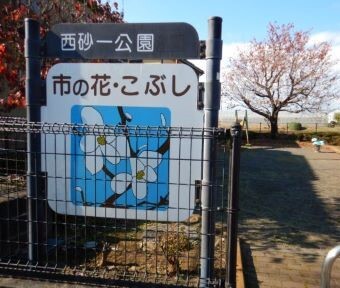 まちNews！西砂一公園もゾウさん遊具が…